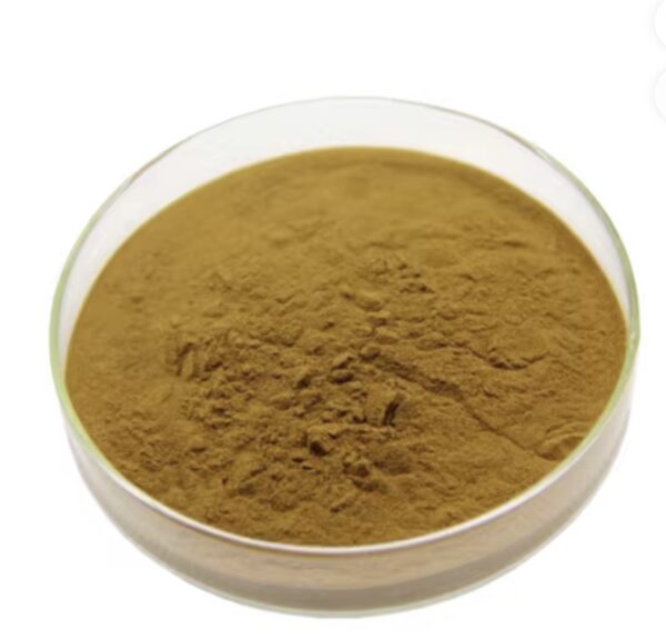Donquai extract powder