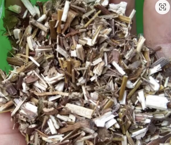 Yarrow herbs