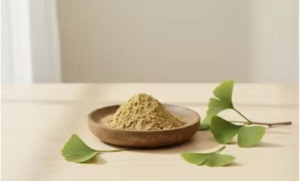 Gingko biloba  powder
