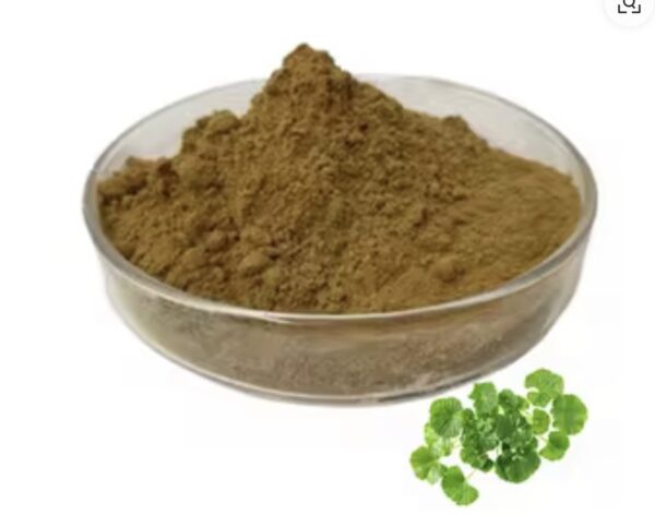 Gotu kola powder