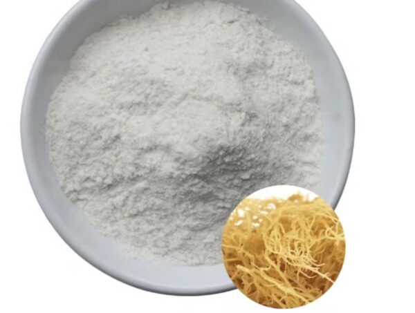Seamoss powder