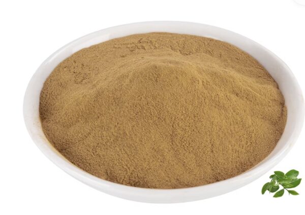 Rosemary extract powder