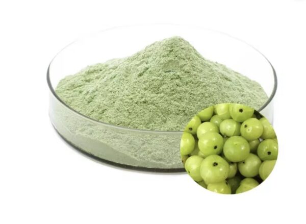 Amla juice powder(edible)