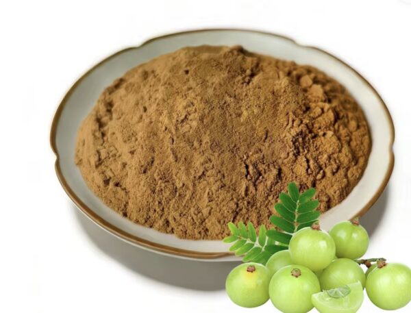 Amla extract powder